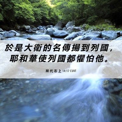 Picture 06 - 歷 代 志 上 14:17 CUVT - 於 是 大 衛 的 名 傳 揚 到 列 國 ， - Bible Verse Picture