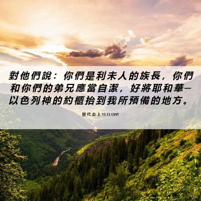 Picture 06 - 歷 代 志 上 15:12 CUVT - 對 他 們 說 ： 你 們 是 利 未 人 的 - Bible Verse Picture