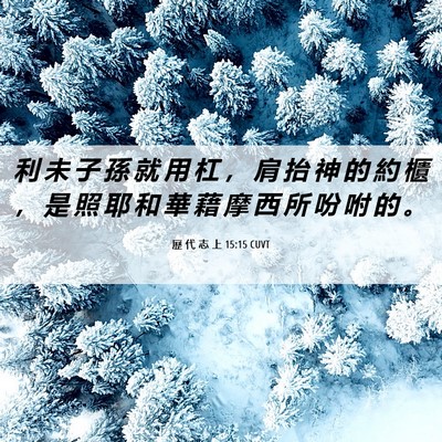 Picture 06 - 歷 代 志 上 15:15 CUVT - 利 未 子 孫 就 用 杠 ， 肩 抬 神 的 - Bible Verse Picture