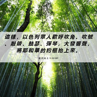 Picture 06 - 歷 代 志 上 15:28 CUVT - 這 樣 ， 以 色 列 眾 人 歡 呼 吹 角 - Bible Verse Picture