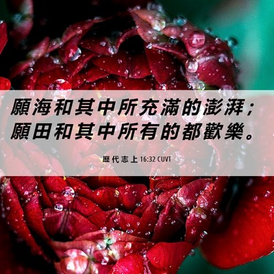 Picture 06 - 歷 代 志 上 16:32 CUVT - 願 海 和 其 中 所 充 滿 的 澎 湃 ； - Bible Verse Picture