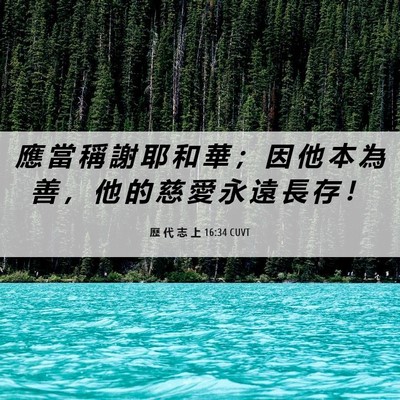 Picture 06 - 歷 代 志 上 16:34 CUVT - 應 當 稱 謝 耶 和 華 ； 因 他 本 為 - Bible Verse Picture