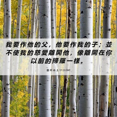 Picture 06 - 歷 代 志 上 17:13 CUVT - 我 要 作 他 的 父 ， 他 要 作 我 的 - Bible Verse Picture