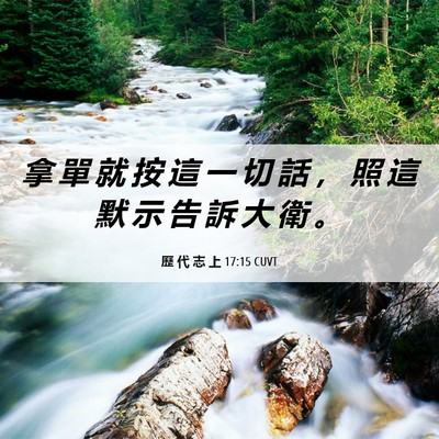 Picture 06 - 歷 代 志 上 17:15 CUVT - 拿 單 就 按 這 一 切 話 ， 照 這 默 - Bible Verse Picture