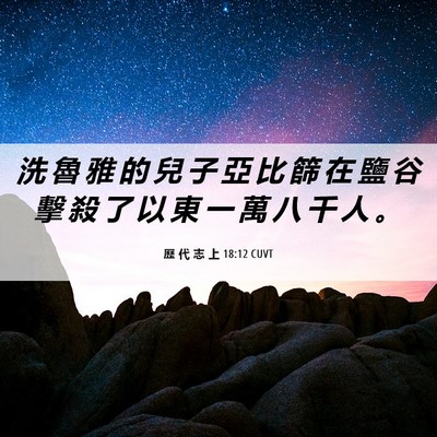 Picture 06 - 歷 代 志 上 18:12 CUVT - 洗 魯 雅 的 兒 子 亞 比 篩 在 鹽 谷 - Bible Verse Picture