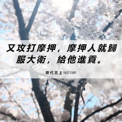 Picture 06 - 歷 代 志 上 18:2 CUVT - 又 攻 打 摩 押 ， 摩 押 人 就 歸 服 - Bible Verse Picture