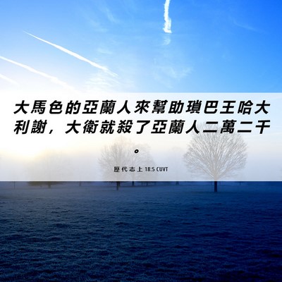 Picture 06 - 歷 代 志 上 18:5 CUVT - 大 馬 色 的 亞 蘭 人 來 幫 助 瑣 巴 - Bible Verse Picture