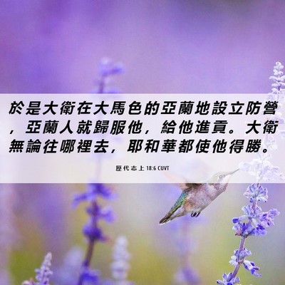 Picture 06 - 歷 代 志 上 18:6 CUVT - 於 是 大 衛 在 大 馬 色 的 亞 蘭 地 - Bible Verse Picture