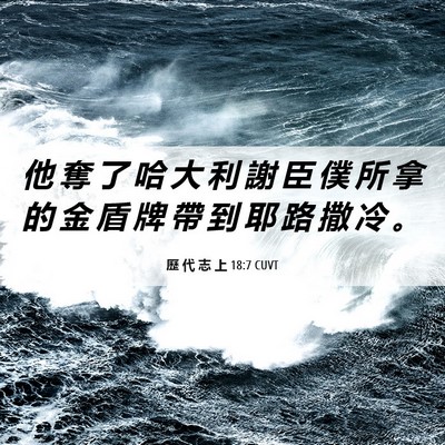 Picture 06 - 歷 代 志 上 18:7 CUVT - 他 奪 了 哈 大 利 謝 臣 僕 所 拿 的 - Bible Verse Picture
