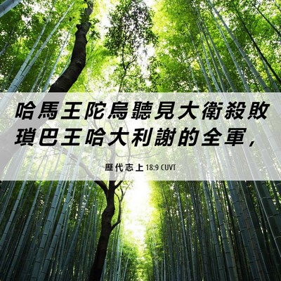 Picture 06 - 歷 代 志 上 18:9 CUVT - 哈 馬 王 陀 烏 聽 見 大 衛 殺 敗 瑣 - Bible Verse Picture