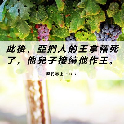 Picture 06 - 歷 代 志 上 19:1 CUVT - 此 後 ， 亞 捫 人 的 王 拿 轄 死 了 - Bible Verse Picture