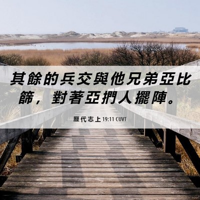 Picture 06 - 歷 代 志 上 19:11 CUVT - 其 餘 的 兵 交 與 他 兄 弟 亞 比 篩 - Bible Verse Picture