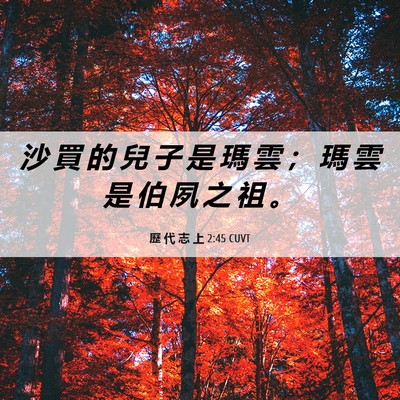 Picture 06 - 歷 代 志 上 2:45 CUVT - 沙 買 的 兒 子 是 瑪 雲 ； 瑪 雲 是 - Bible Verse Picture