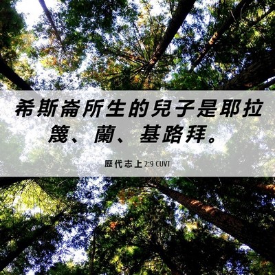 Picture 06 - 歷 代 志 上 2:9 CUVT - 希 斯 崙 所 生 的 兒 子 是 耶 拉 篾 - Bible Verse Picture