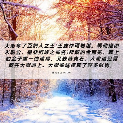 Picture 06 - 歷 代 志 上 20:2 CUVT - 大 衛 奪 了 亞 捫 人 之 王 ( 王 或 作 - Bible Verse Picture