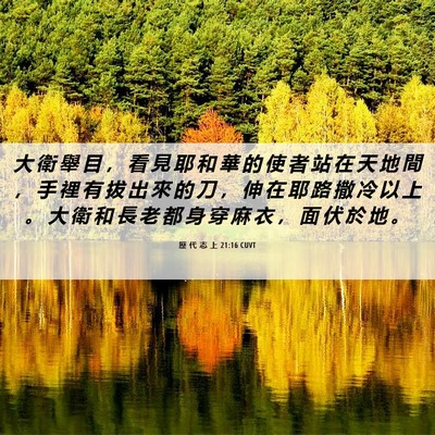 Picture 06 - 歷 代 志 上 21:16 CUVT - 大 衛 舉 目 ， 看 見 耶 和 華 的 使 - Bible Verse Picture