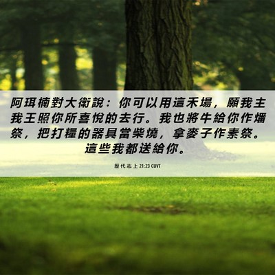 Picture 06 - 歷 代 志 上 21:23 CUVT - 阿 珥 楠 對 大 衛 說 ： 你 可 以 用 - Bible Verse Picture