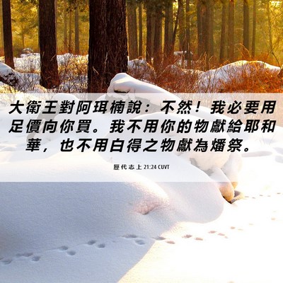 Picture 06 - 歷 代 志 上 21:24 CUVT - 大 衛 王 對 阿 珥 楠 說 ： 不 然 ！ - Bible Verse Picture