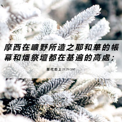 Picture 06 - 歷 代 志 上 21:29 CUVT - 摩 西 在 曠 野 所 造 之 耶 和 華 的 - Bible Verse Picture