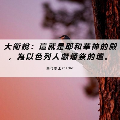 Picture 06 - 歷 代 志 上 22:1 CUVT - 大 衛 說 ： 這 就 是 耶 和 華 神 的 - Bible Verse Picture