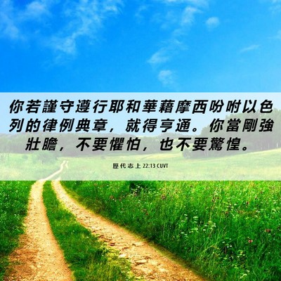 Picture 06 - 歷 代 志 上 22:13 CUVT - 你 若 謹 守 遵 行 耶 和 華 藉 摩 西 - Bible Verse Picture