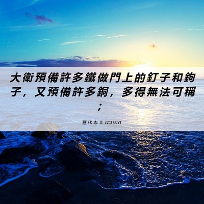 Picture 06 - 歷 代 志 上 22:3 CUVT - 大 衛 預 備 許 多 鐵 做 門 上 的 釘 - Bible Verse Picture