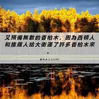 Picture 06 - 歷 代 志 上 22:4 CUVT - 又 預 備 無 數 的 香 柏 木 ， 因 為 - Bible Verse Picture