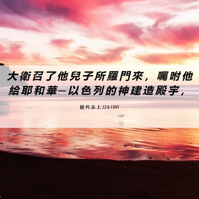 Picture 06 - 歷 代 志 上 22:6 CUVT - 大 衛 召 了 他 兒 子 所 羅 門 來 ， - Bible Verse Picture