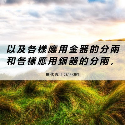 Picture 06 - 歷 代 志 上 28:14 CUVT - 以 及 各 樣 應 用 金 器 的 分 兩 和 - Bible Verse Picture