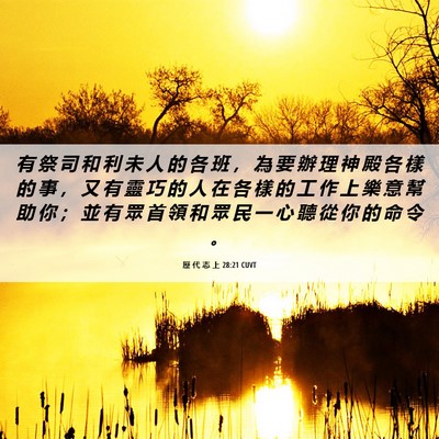Picture 06 - 歷 代 志 上 28:21 CUVT - 有 祭 司 和 利 未 人 的 各 班 ， 為 - Bible Verse Picture