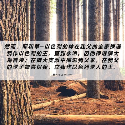 Picture 06 - 歷 代 志 上 28:4 CUVT - 然 而 ， 耶 和 華 ─ 以 色 列 的 神 - Bible Verse Picture