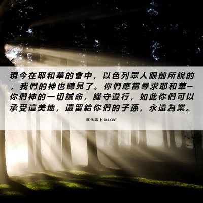 Picture 06 - 歷 代 志 上 28:8 CUVT - 現 今 在 耶 和 華 的 會 中 ， 以 色 - Bible Verse Picture
