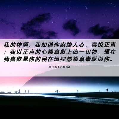 Picture 06 - 歷 代 志 上 29:17 CUVT - 我 的 神 啊 ， 我 知 道 你 察 驗 人 - Bible Verse Picture