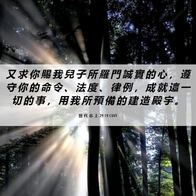 Picture 06 - 歷 代 志 上 29:19 CUVT - 又 求 你 賜 我 兒 子 所 羅 門 誠 實 - Bible Verse Picture