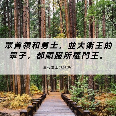 Picture 06 - 歷 代 志 上 29:24 CUVT - 眾 首 領 和 勇 士 ， 並 大 衛 王 的 - Bible Verse Picture