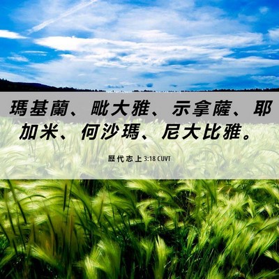 Picture 06 - 歷 代 志 上 3:18 CUVT - 瑪 基 蘭 、 毗 大 雅 、 示 拿 薩 、 - Bible Verse Picture