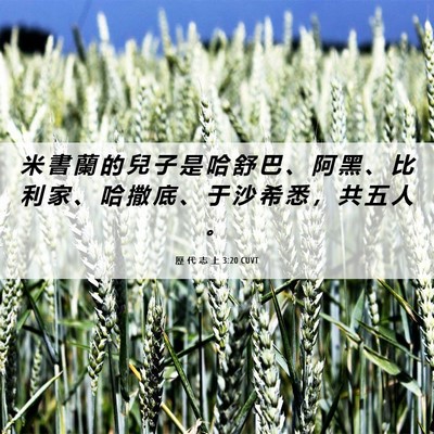 Picture 06 - 歷 代 志 上 3:20 CUVT - 米 書 蘭 的 兒 子 是 哈 舒 巴 、 阿 - Bible Verse Picture
