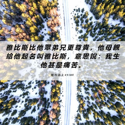 Picture 06 - 歷 代 志 上 4:9 CUVT - 雅 比 斯 比 他 眾 弟 兄 更 尊 貴 ， - Bible Verse Picture