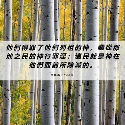 Picture 06 - 歷 代 志 上 5:25 CUVT - 他 們 得 罪 了 他 們 列 祖 的 神 ， - Bible Verse Picture