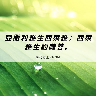 Picture 06 - 歷 代 志 上 6:14 CUVT - 亞 撒 利 雅 生 西 萊 雅 ； 西 萊 雅 - Bible Verse Picture