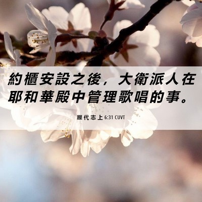 Picture 06 - 歷 代 志 上 6:31 CUVT - 約 櫃 安 設 之 後 ， 大 衛 派 人 在 - Bible Verse Picture