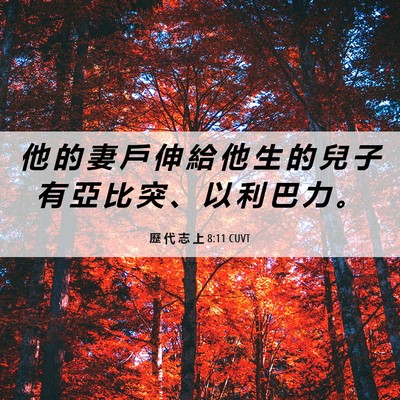 Picture 06 - 歷 代 志 上 8:11 CUVT - 他 的 妻 戶 伸 給 他 生 的 兒 子 有 - Bible Verse Picture