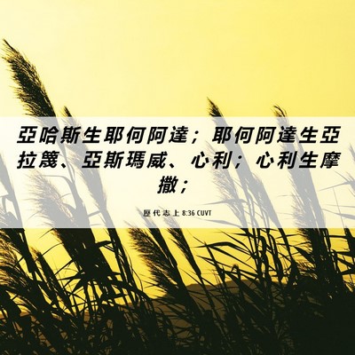 Picture 06 - 歷 代 志 上 8:36 CUVT - 亞 哈 斯 生 耶 何 阿 達 ； 耶 何 阿 - Bible Verse Picture