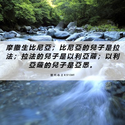 Picture 06 - 歷 代 志 上 8:37 CUVT - 摩 撒 生 比 尼 亞 ； 比 尼 亞 的 兒 - Bible Verse Picture