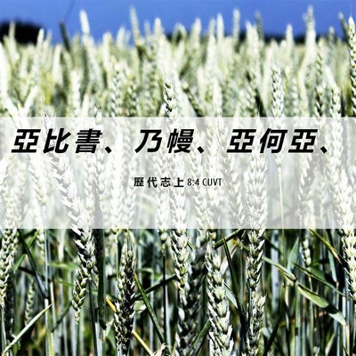 Picture 06 - 歷 代 志 上 8:4 CUVT - 亞 比 書 、 乃 幔 、 亞 何 亞 - Bible Verse Picture