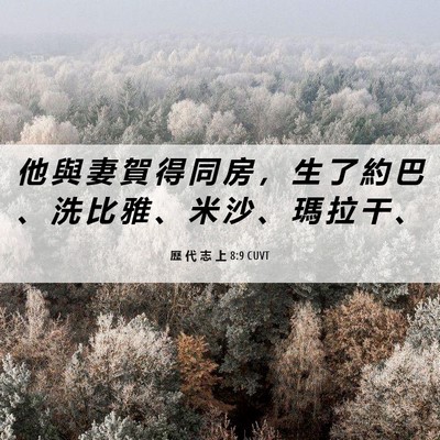 Picture 06 - 歷 代 志 上 8:9 CUVT - 他 與 妻 賀 得 同 房 ， 生 了 約 巴 - Bible Verse Picture