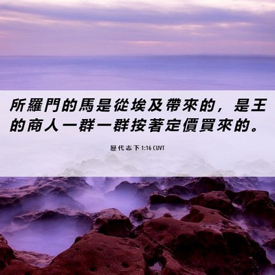 Picture 06 - 歷 代 志 下 1:16 CUVT - 所 羅 門 的 馬 是 從 埃 及 帶 來 的 - Bible Verse Picture