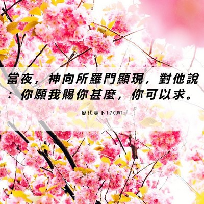 Picture 06 - 歷 代 志 下 1:7 CUVT - 當 夜 ， 神 向 所 羅 門 顯 現 ， 對 - Bible Verse Picture