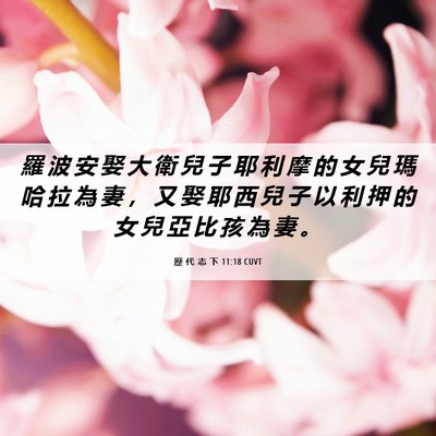 Picture 06 - 歷 代 志 下 11:18 CUVT - 羅 波 安 娶 大 衛 兒 子 耶 利 摩 的 - Bible Verse Picture