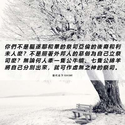 Picture 06 - 歷 代 志 下 13:9 CUVT - 你 們 不 是 驅 逐 耶 和 華 的 祭 司 - Bible Verse Picture